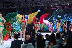 中国选美大赛,中国选美大赛风采掠影