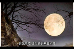 中秋节语录,月圆人团圆,祝福满人间