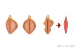 私密部位美容有哪些项目,探索专业项目与美丽秘诀