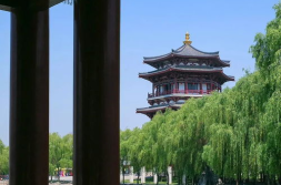 墙纸图片大全