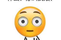 图片表情,图片表情包中的情绪表达与社交互动”