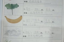描写春天的句子一年级简单,生机勃勃——一年级春天描写集