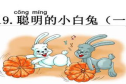 小白兔和小灰兔的故事教案,友谊与成长的寓言故事