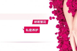 最新的私密产品有哪些,探索前沿科技与个性化潮流