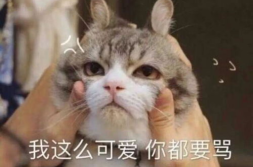 可爱到爆的表情包,盘点那些让人心动不已的可爱表情包