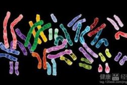染色体检查费用,不同项目与医院价格差异
